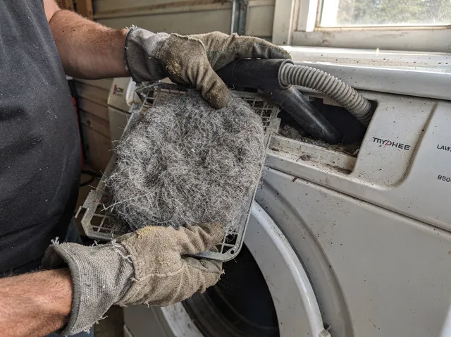 Cleaning Dryer Lint Trap in Enfield